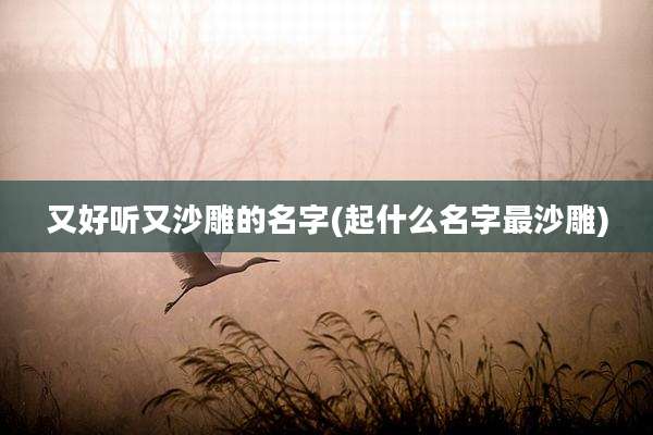 又好听又沙雕的名字(起什么名字最沙雕)