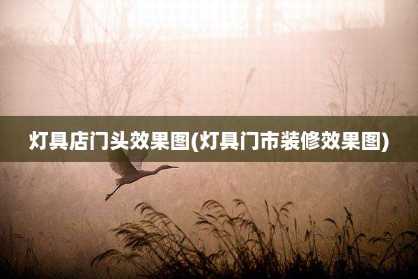 灯具店门头效果图(灯具门市装修效果图)