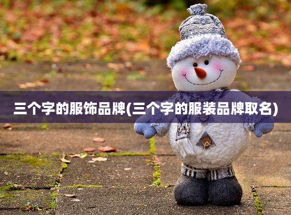三个字的服饰品牌(三个字的服装品牌取名)