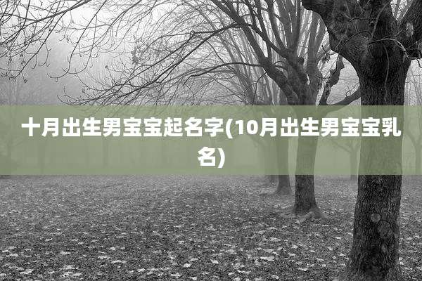 十月出生男宝宝起名字(10月出生男宝宝乳名)