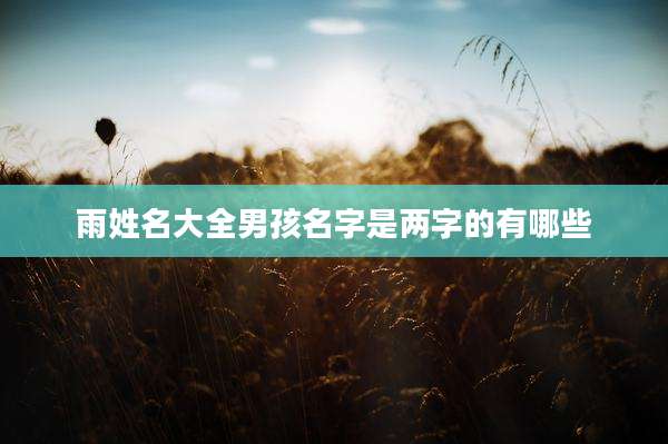 雨姓名大全男孩名字是两字的有哪些
