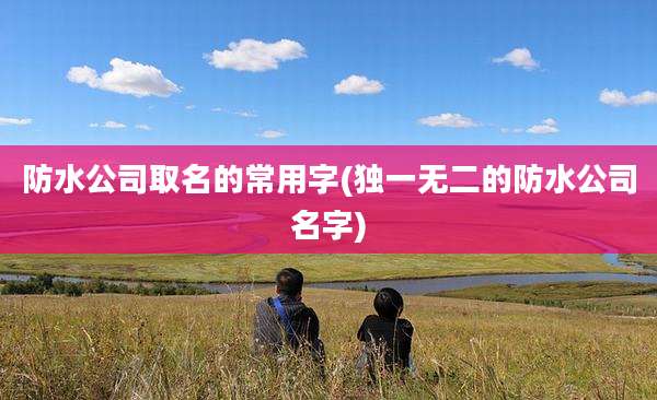 防水公司取名的常用字(独一无二的防水公司名字)