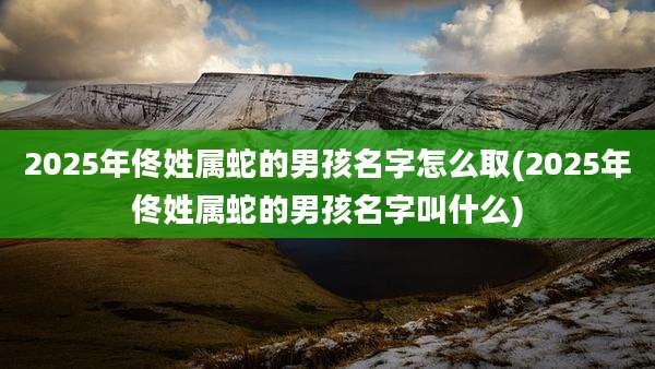2025年佟姓属蛇的男孩名字怎么取(2025年佟姓属蛇的男孩名字叫什么)
