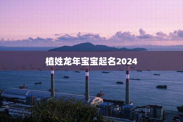 植姓龙年宝宝起名2024