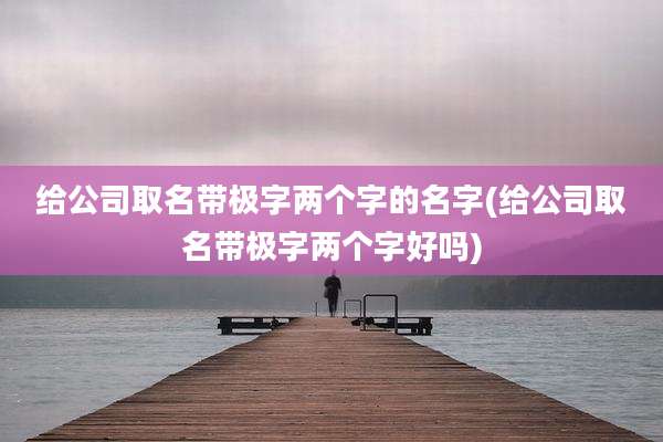 给公司取名带极字两个字的名字(给公司取名带极字两个字好吗)