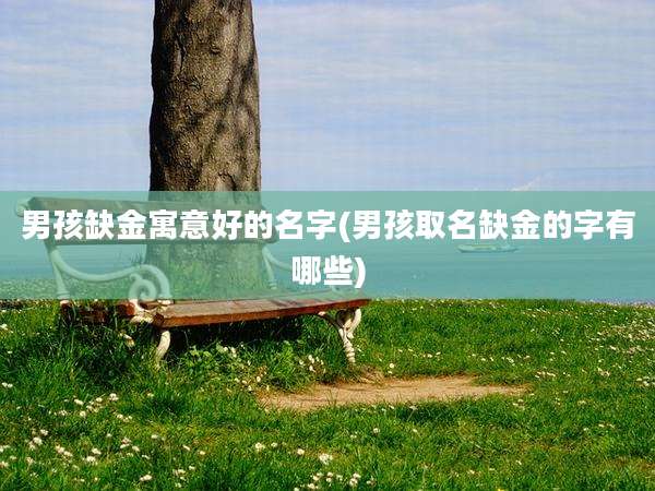 男孩缺金寓意好的名字(男孩取名缺金的字有哪些)