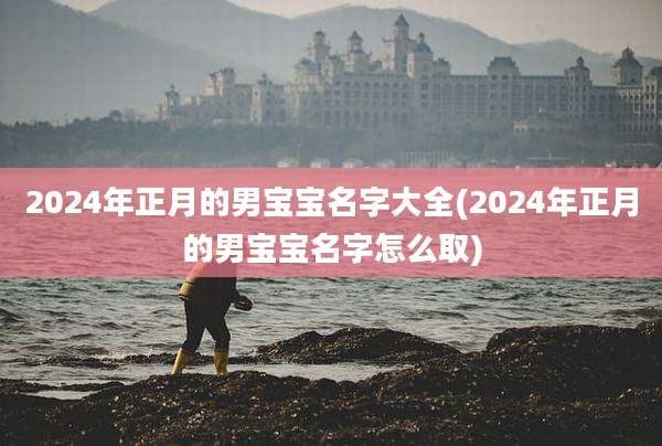 2024年正月的男宝宝名字大全(2024年正月的男宝宝名字怎么取)