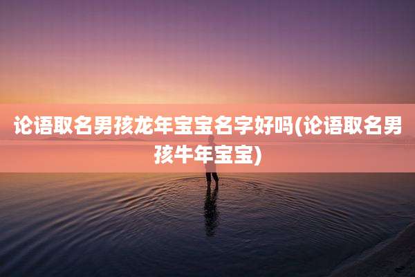 论语取名男孩龙年宝宝名字好吗(论语取名男孩牛年宝宝)