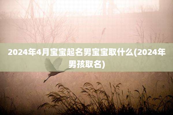 2024年4月宝宝起名男宝宝取什么(2024年男孩取名)