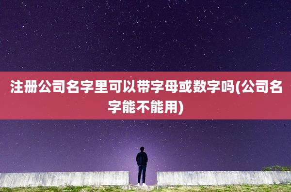 注册公司名字里可以带字母或数字吗(公司名字能不能用)