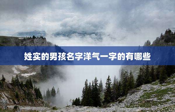 姓实的男孩名字洋气一字的有哪些