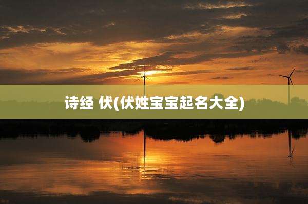 诗经 伏(伏姓宝宝起名大全)