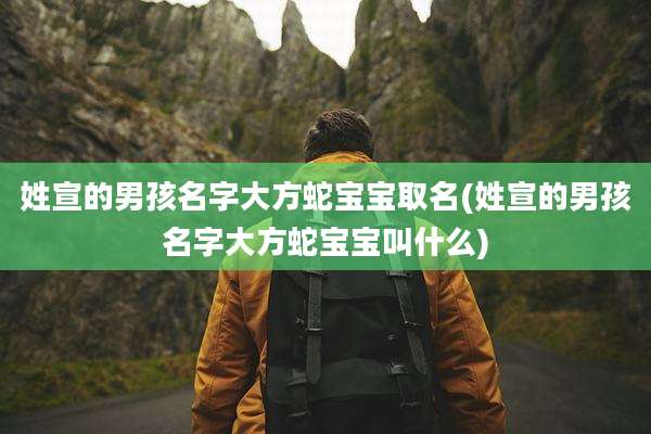 姓宣的男孩名字大方蛇宝宝取名(姓宣的男孩名字大方蛇宝宝叫什么)