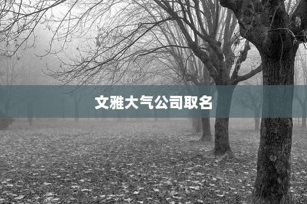 文雅大气公司取名