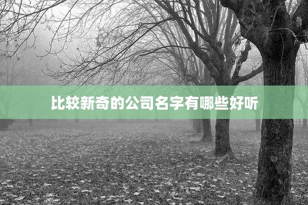 比较新奇的公司名字有哪些好听