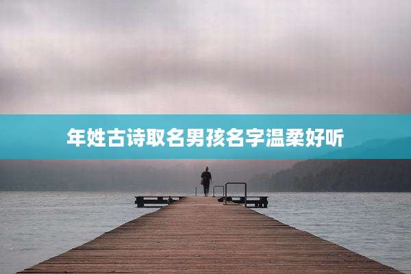 年姓古诗取名男孩名字温柔好听