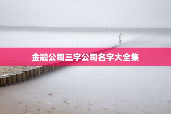 金融公司三字公司名字大全集