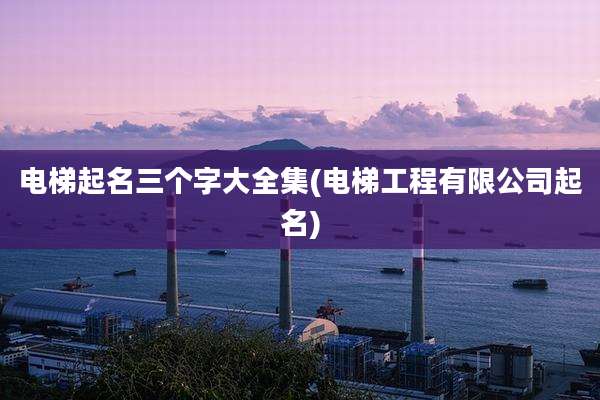 电梯起名三个字大全集(电梯工程有限公司起名)