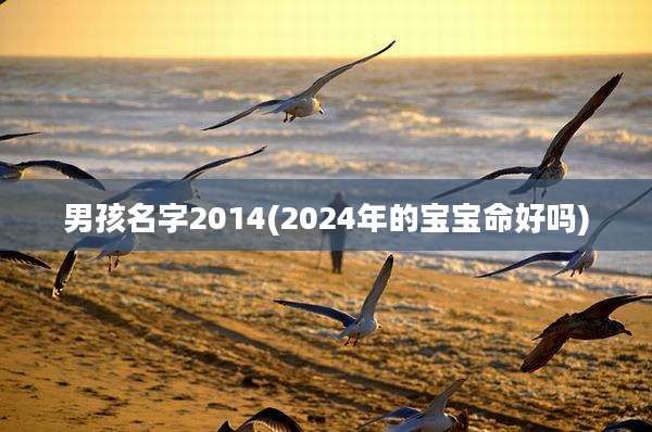 男孩名字2014(2024年的宝宝命好吗)