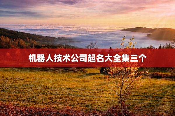 机器人技术公司起名大全集三个