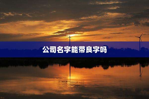 公司名字能带良字吗