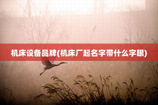 机床设备品牌(机床厂起名字带什么字眼)