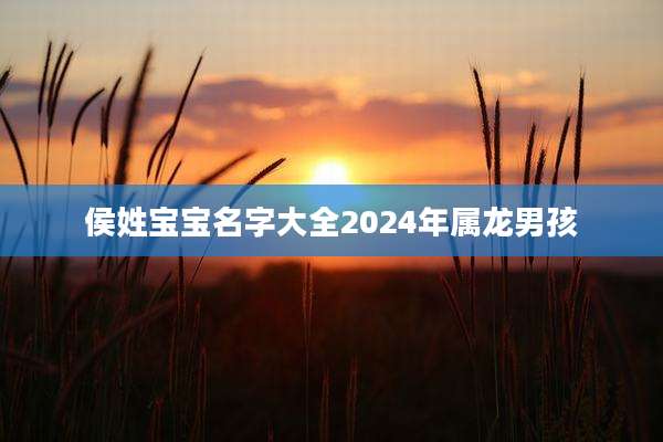 侯姓宝宝名字大全2024年属龙男孩