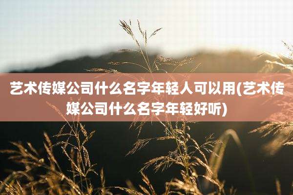 艺术传媒公司什么名字年轻人可以用(艺术传媒公司什么名字年轻好听)