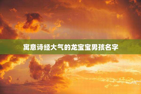 寓意诗经大气的龙宝宝男孩名字