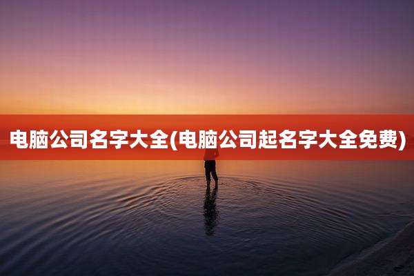 电脑公司名字大全(电脑公司起名字大全免费)
