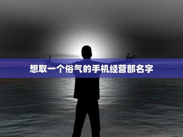 想取一个俗气的手机经营部名字