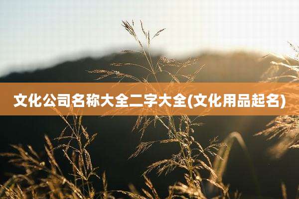 文化公司名称大全二字大全(文化用品起名)