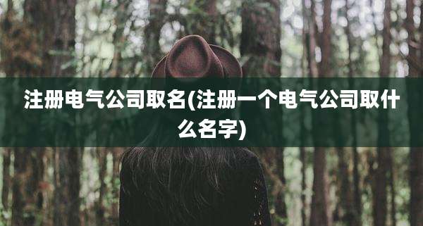 注册电气公司取名(注册一个电气公司取什么名字)
