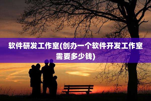 软件研发工作室(创办一个软件开发工作室需要多少钱)