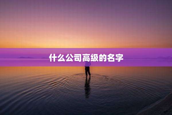 什么公司高级的名字