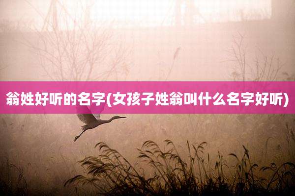 翁姓好听的名字(女孩子姓翁叫什么名字好听)