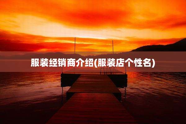 服装经销商介绍(服装店个性名)