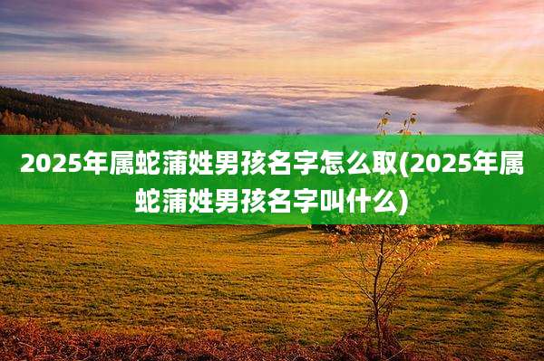 2025年属蛇蒲姓男孩名字怎么取(2025年属蛇蒲姓男孩名字叫什么)