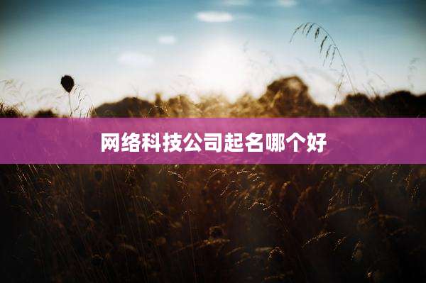 网络科技公司起名哪个好