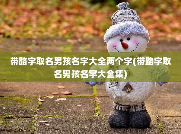 带路字取名男孩名字大全两个字(带路字取名男孩名字大全集)