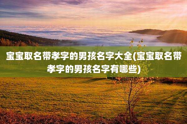 宝宝取名带孝字的男孩名字大全(宝宝取名带孝字的男孩名字有哪些)