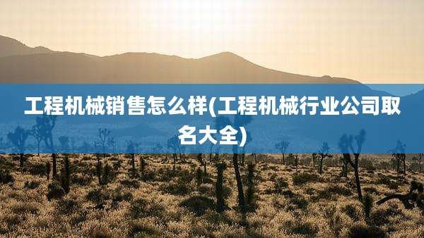 工程机械销售怎么样(工程机械行业公司取名大全)