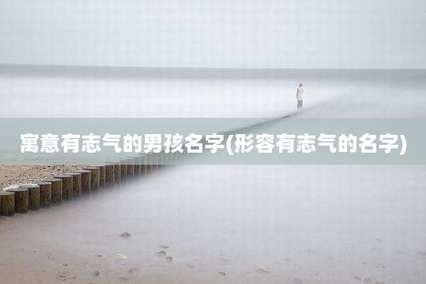 寓意有志气的男孩名字(形容有志气的名字)