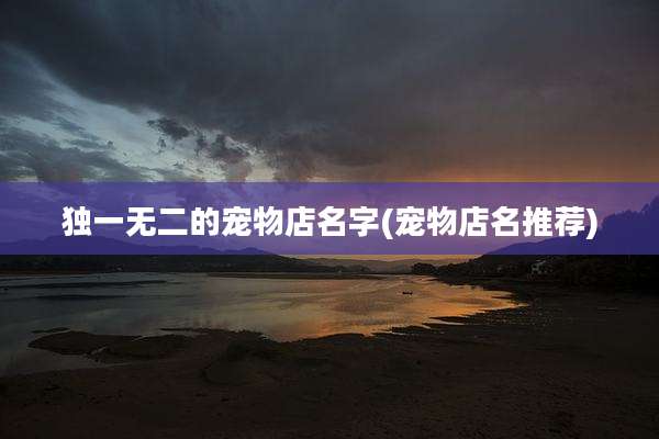 独一无二的宠物店名字(宠物店名推荐)