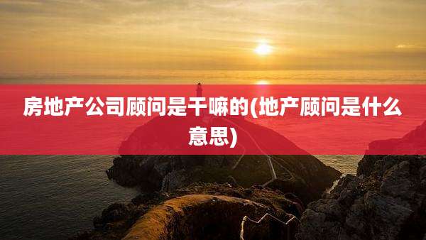 房地产公司顾问是干嘛的(地产顾问是什么意思)
