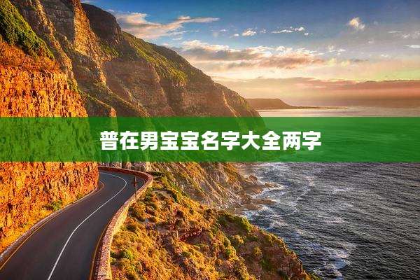 普在男宝宝名字大全两字