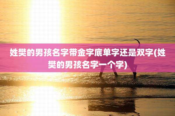 姓樊的男孩名字带金字底单字还是双字(姓樊的男孩名字一个字)