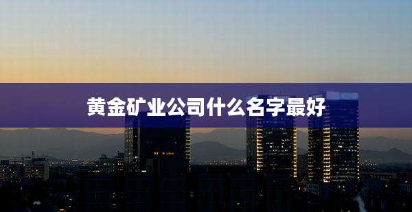黄金矿业公司什么名字最好