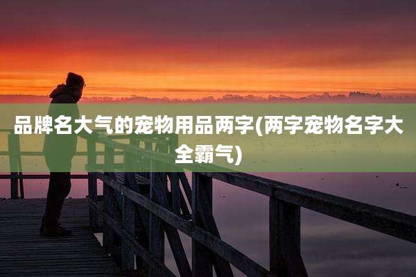 品牌名大气的宠物用品两字(两字宠物名字大全霸气)