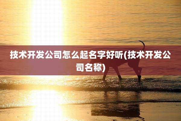 技术开发公司怎么起名字好听(技术开发公司名称)